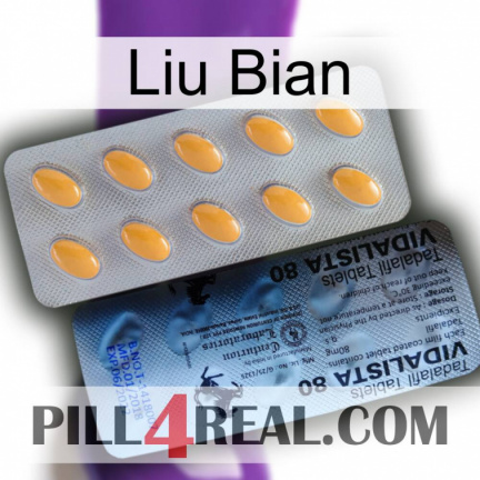 Liu Bian 44
